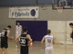 BASKET Ecco la &quot;poule-promozione&quot; che attende la Tarros Spezia