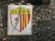 Calcio - Bolanese d'autorità sull' Arcola Garibaldina