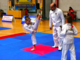 Taekwondo Al Palacus in scena la 25° Columbus Cup