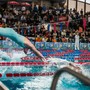 NUOTO 19° Trofeo Aragno: il resoconto della manifestazione NUOTO 19° Trofeo Aragno: il resoconto della manifestazione