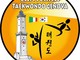 Parte la stagione 2020/2021 della Lanterna Taekwondo all'insegna della sicurezza