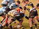 PRO RECCO RUGBY - U18 – Squaletti battuti con onore a Calvisano