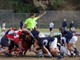 RUGBY I risultati del fine settimana (22-23 novembre)