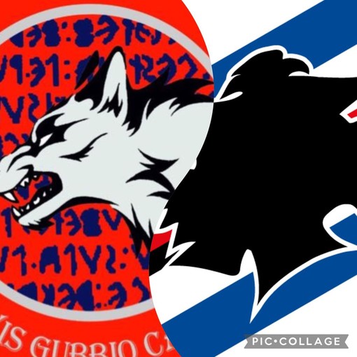 Serie A2: Vis Gubbio - Sampdoria Futsal in diretta