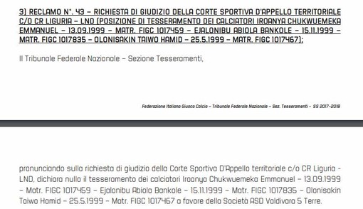 Lo screen shot del comunicato della FIGC Lo screen shot del comunicato della FIGC