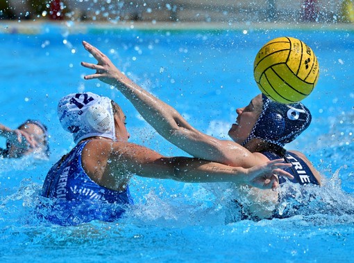 (FOTO GIORGIO SCARFI)