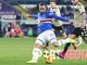 FOTOSERVIZIO: Sampdoria-Venezia