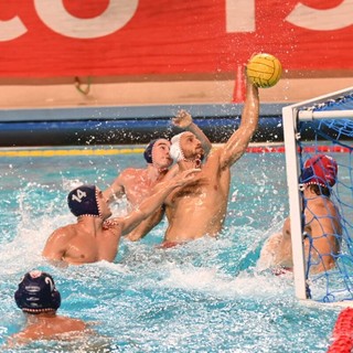 PALLANUOTO Il Savona vince anche gara 2, per l'Iren Quinto ora la testa va a un posto in Europa