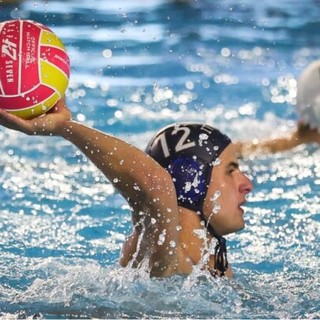 PALLANUOTO QUINTO Anche Madaschi è biancorosso: "Sono entusiasta"