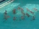 PALLANUOTO/ SC QUINTO - UNDER 16 B, DUE VITTORIE IN DUE PARTITE