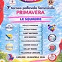 PALLAVOLO Settimo Torneo Primavera PALLAVOLO Settimo Torneo Primavera