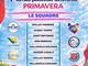 PALLAVOLO Settimo Torneo Primavera