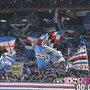 Le FOTO-TIFO di Sampdoria-Pisa