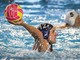 PALLANUOTO QUINTO Anche Madaschi è biancorosso: "Sono entusiasta" PALLANUOTO QUINTO Anche Madaschi è biancorosso: "Sono entusiasta"