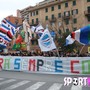 Le FOTO-TIFO di Sampdoria-Ternana