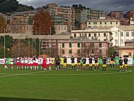 ZENEIXI CEP ZENEIXI CEP