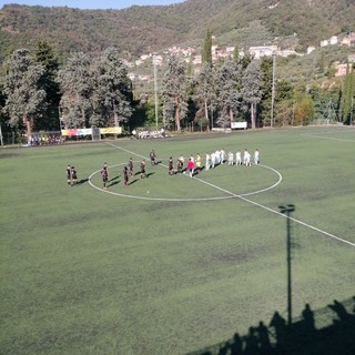 Goglia del Castagna