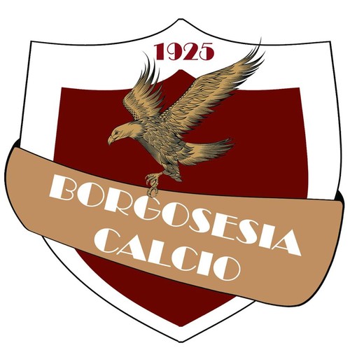 SERIE D Chisola-Borgosesia 2-2 SERIE D Chisola-Borgosesia 2-2