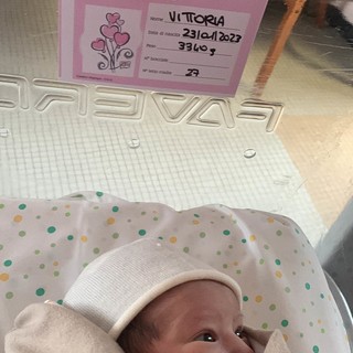 FIOCCO ROSA al Borgo Rapallo