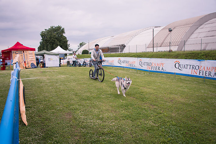 Sport insieme al proprio cane: tante attività a Milano con Quattrozampeinfiera