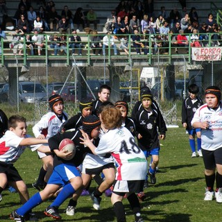 IL RUGBY LIGURE RIPARTE