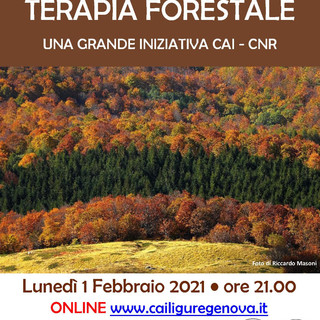 Terapia Forestale: una grande iniziativa CAI-CNR