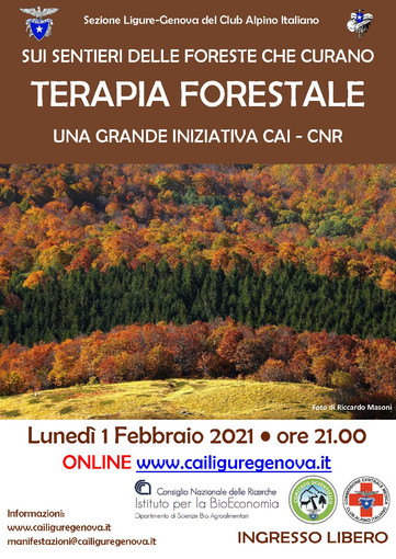 Terapia Forestale: una grande iniziativa CAI-CNR