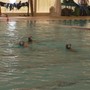 Pallanuoto - Il Lerici viene a capo anche dell' Aragno