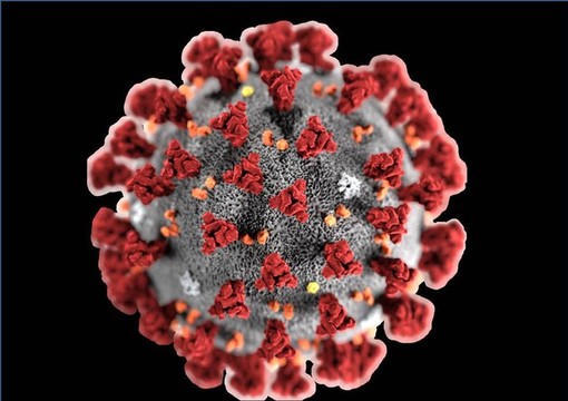 EMERGENZA CORONAVIRUS Il decreto del Consiglio dei Ministri con le misure restrittive