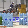 Equitazione - Centro 3 Emme di Vezzano ok ai Regionali