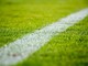 “Niente Ligue 1 fino a settembre 2020”: la decisione del governo francese&quot;