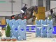 Equitazione - Centro 3 Emme di Vezzano ok ai Regionali Equitazione - Centro 3 Emme di Vezzano ok ai Regionali