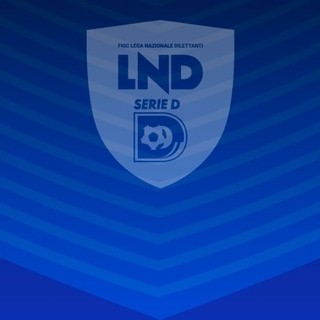 SERIE D Titolo Campione d’Italia 2025/2026, il calendario e il regolamento