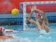 PALLANUOTO Il De Akker fa lo sgambetto all'Iren Quinto e si aggiudica gara 1 alla "Paganuzzi" PALLANUOTO Il De Akker fa lo sgambetto all'Iren Quinto e si aggiudica gara 1 alla "Paganuzzi"