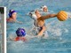 PALLANUOTO / A1F, LOCATELLI KO: SECONDO SORRISO PER LE BOGLIASCHINE