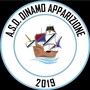 NASCE LA DINAMO APPARIZIONE