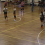 Pallavolo - La Dualee Spezia chiude la Coppa in bellezza