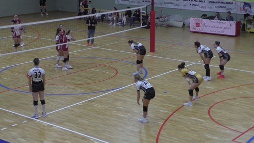 Pallavolo - La Elsel Spezia viaggia a Sestri Ponente Pallavolo - La Elsel Spezia viaggia a Sestri Ponente