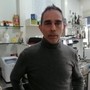 SALVATORE FRISINO