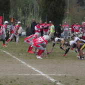 Football americano - I Red Jackets ospitano Pisa "orfani" di Buchi