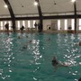 Pallanuoto - Lerici Sport scatenato anche nel femminile
