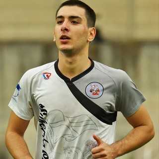 LUCA GUELFI