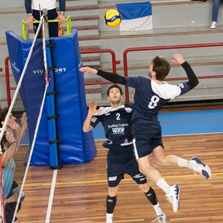 PALLAVOLO COV-Trading Logistic