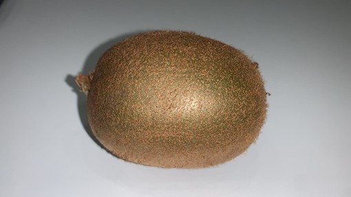 BARGAGLI-MULTEDO 3-0 A TAVOLINO Il lancio del kiwi costa al Multedo la sconfitta, 100 euro di multa e una giornata a porte chiuse BARGAGLI-MULTEDO 3-0 A TAVOLINO Il lancio del kiwi costa al Multedo la sconfitta, 100 euro di multa e una giornata a porte chiuse