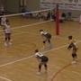 Pallavolo - Onori di casa della Elsel Spezi al Volleyscrivia Pallavolo - Onori di casa della Elsel Spezi al Volleyscrivia