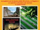 Wellington HZ182 - Il romanzo sulla Val Boreca