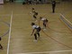 Pallavolo - La Elsel Spezia vince al Palacus