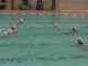 Pallanuoto - Lerici Sport indenne anche a Livorno