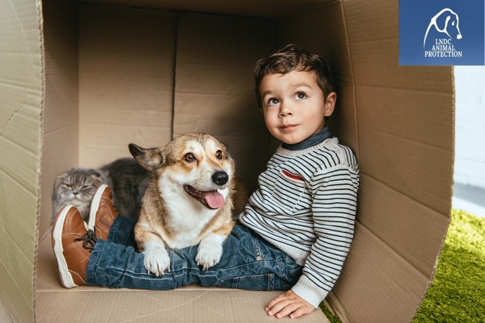 "Telefono Azzurro lancia uno spot vergognoso" "Telefono Azzurro lancia uno spot vergognoso"