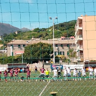 MULTEDO AUDACE